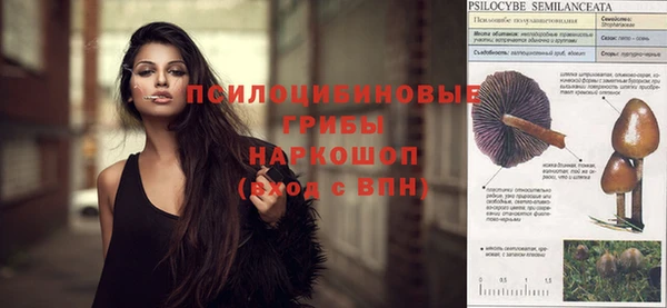 синтетический гашиш Каменногорск