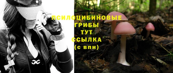 синтетический гашиш Каменногорск