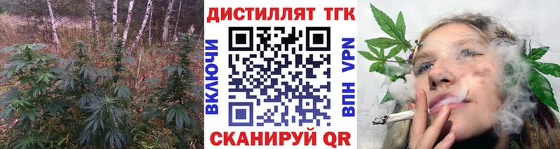 Купить закладки  Троицк  ТГК концентрат 